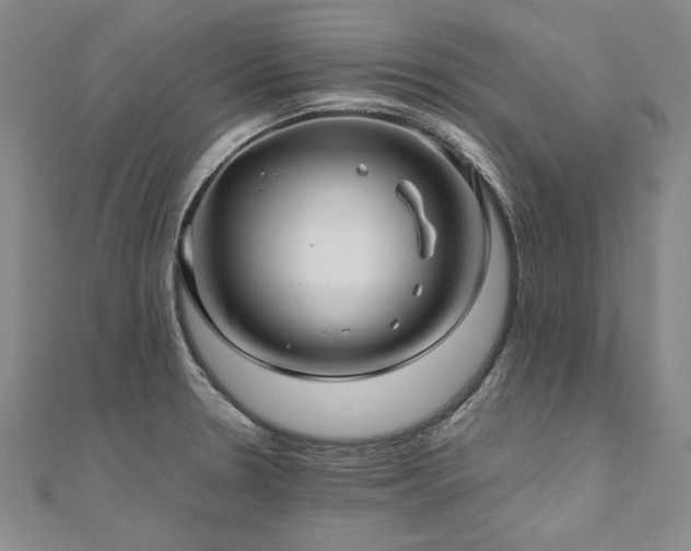 X0000111011330200906191604