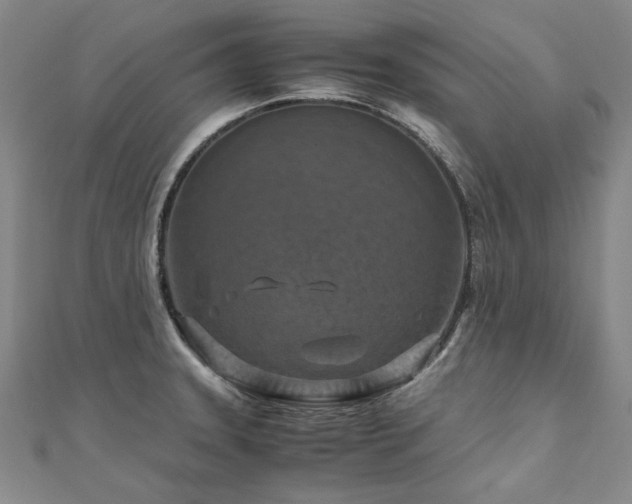 X0000111011331200906191604