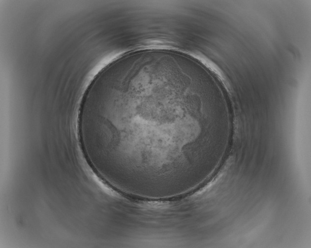 X0000111011333200906191604