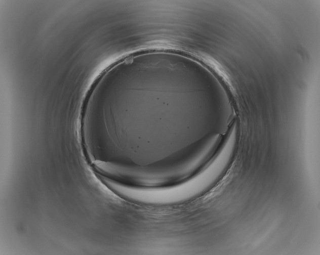 X0000111011334200906191604