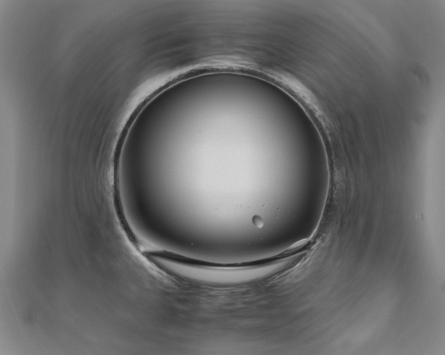 X0000111011335200906191604