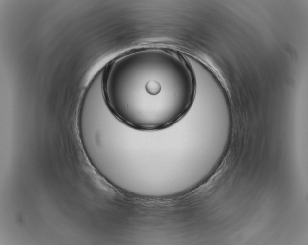 X0000111011336200906191604