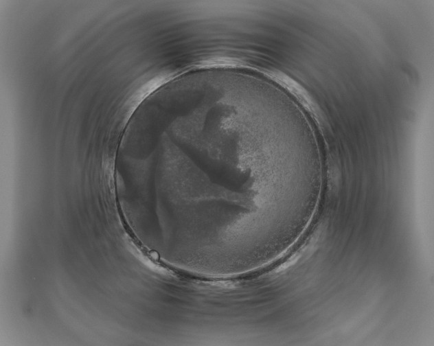 X0000111011337200906191604