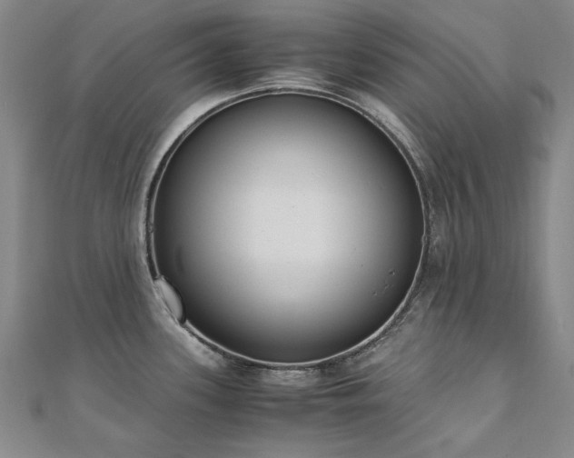 X0000111011339200906191604