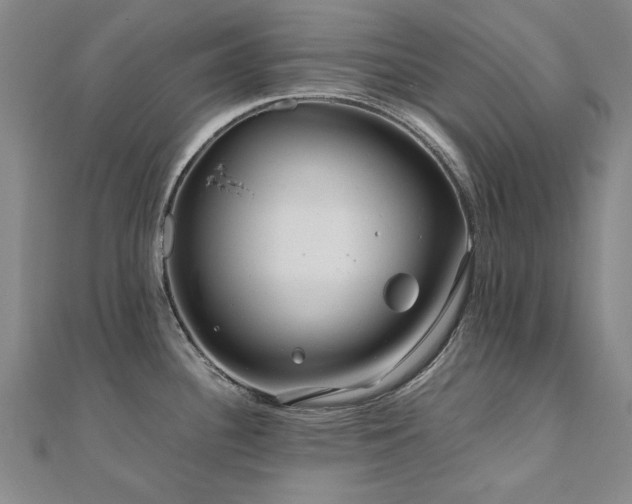 X0000111011340200906191604