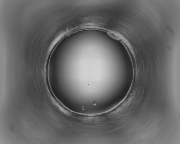 X0000111011341200906191604