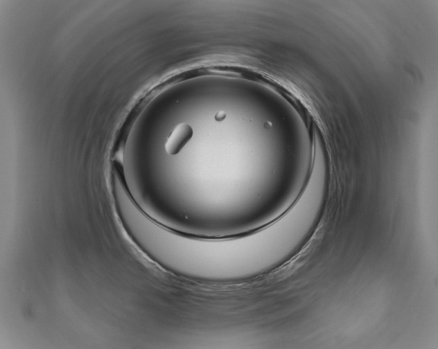 X0000111011342200906191604