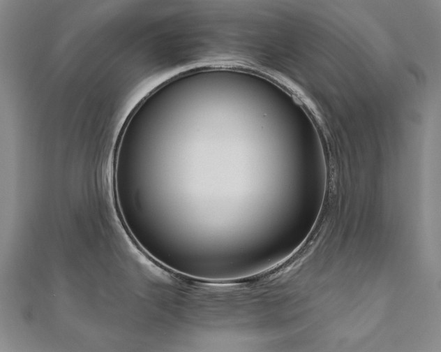 X0000111011343200906191604