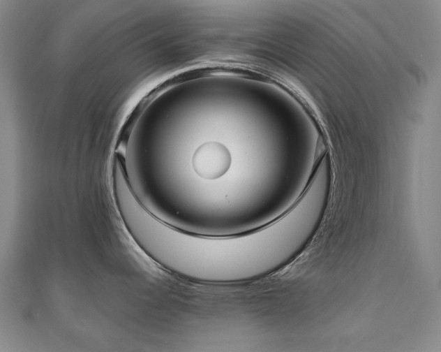X0000111011344200906191604