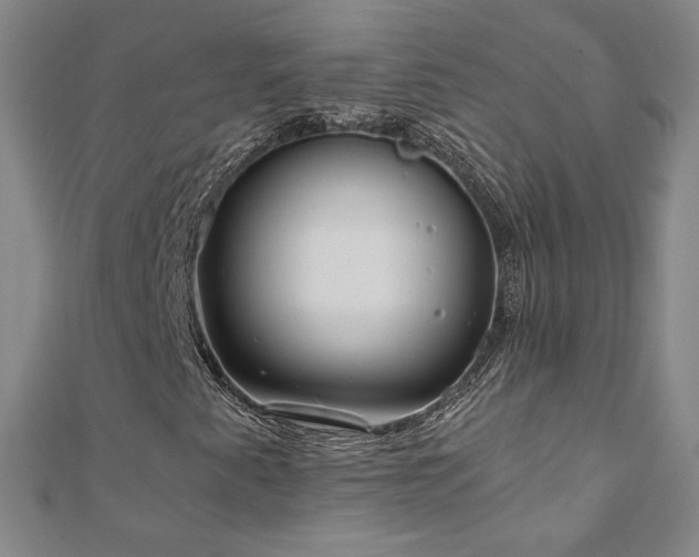X0000111011345200906191603