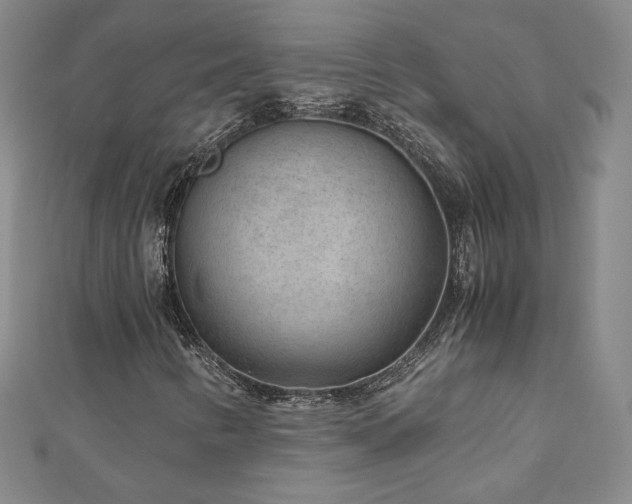 X0000111011346200906191603