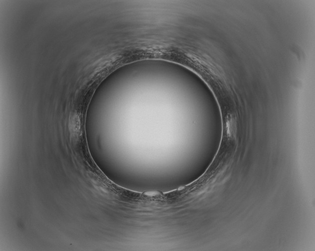 X0000111011347200906191603