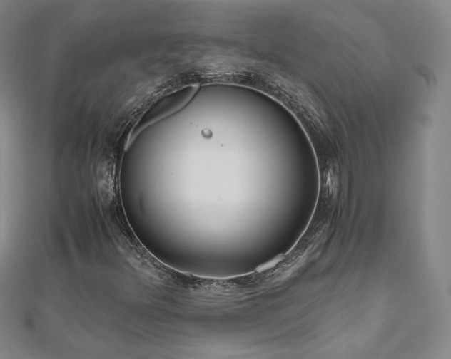 X0000111011348200906191603
