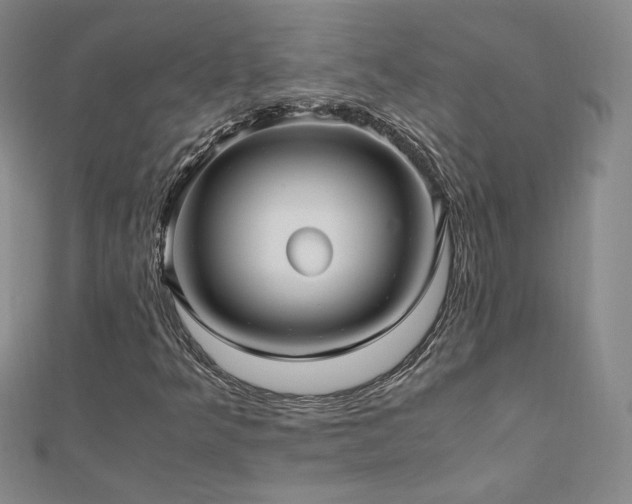 X0000111011349200906191603