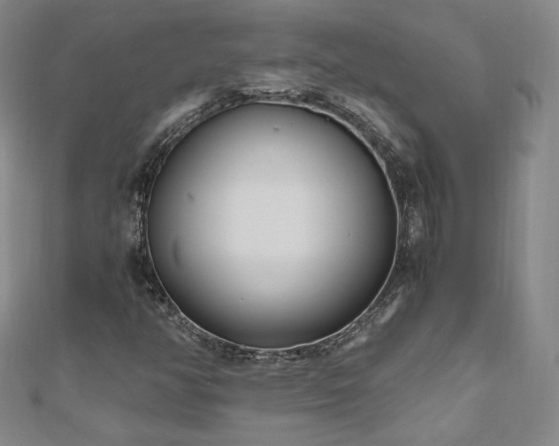X0000111011350200906191603