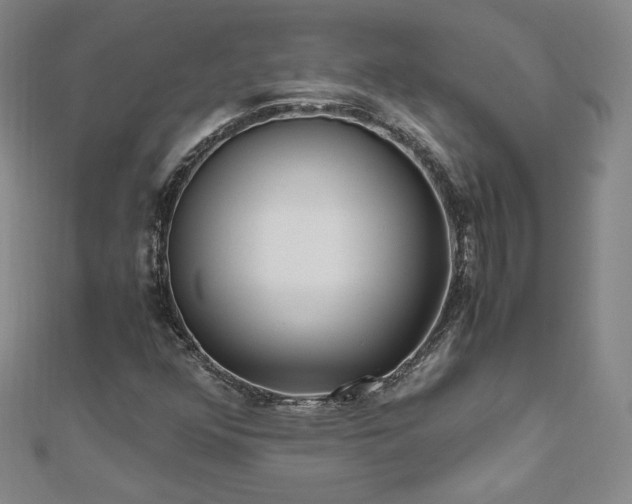 X0000111011352200906191603