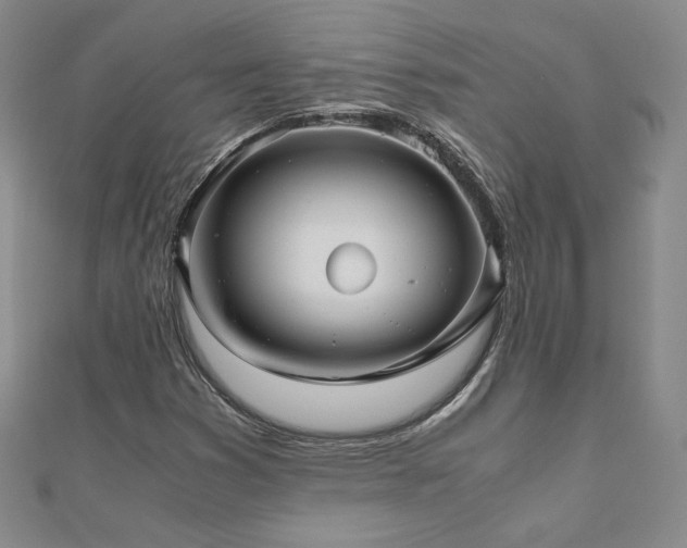 X0000111011353200906191603