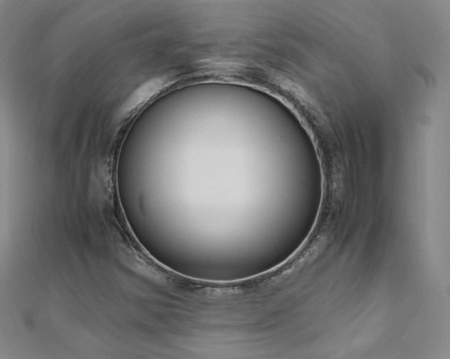 X0000111011354200906191603