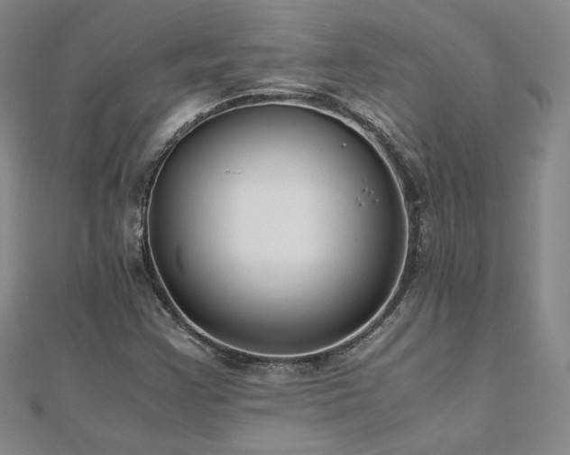 X0000111011355200906191603