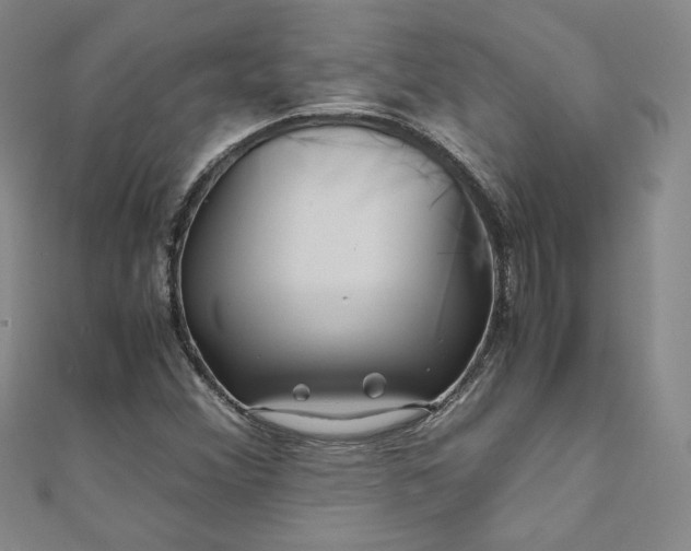 X0000111011356200906191603