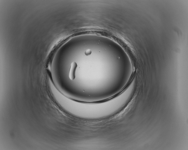 X0000111011357200906191603