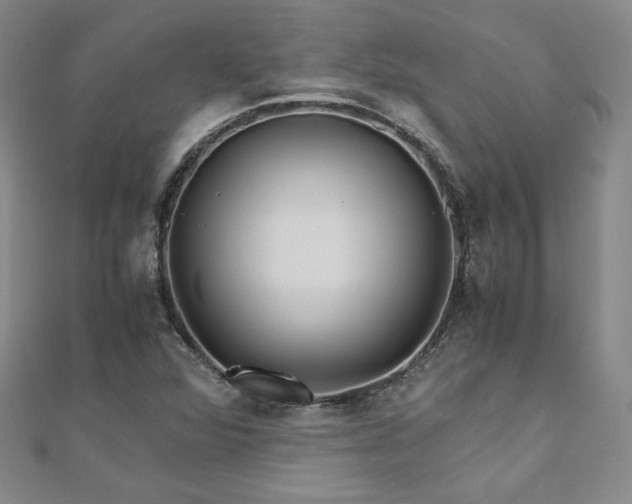 X0000111011360200906191603