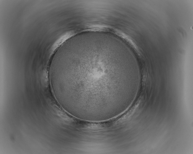 X0000111011362200906191603