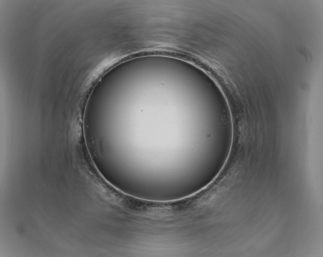 X0000111011363200906191603