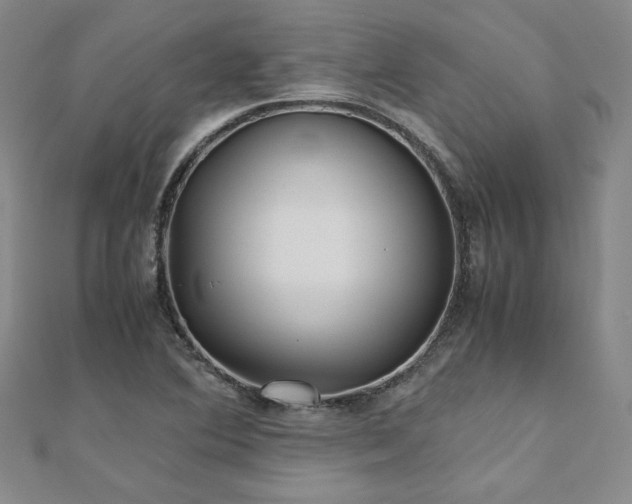 X0000111011364200906191603