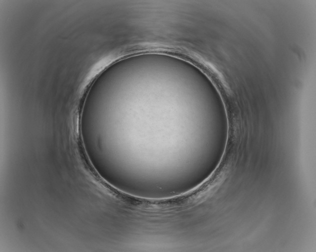 X0000111011365200906191603