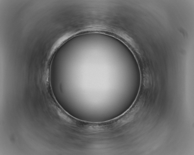 X0000111011366200906191603