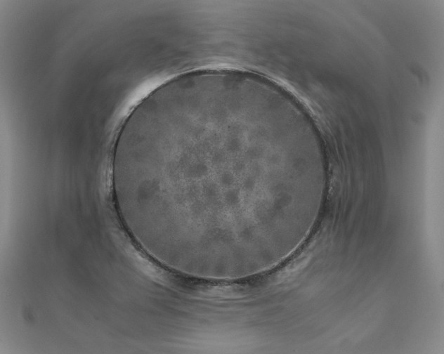 X0000111011367200906191603
