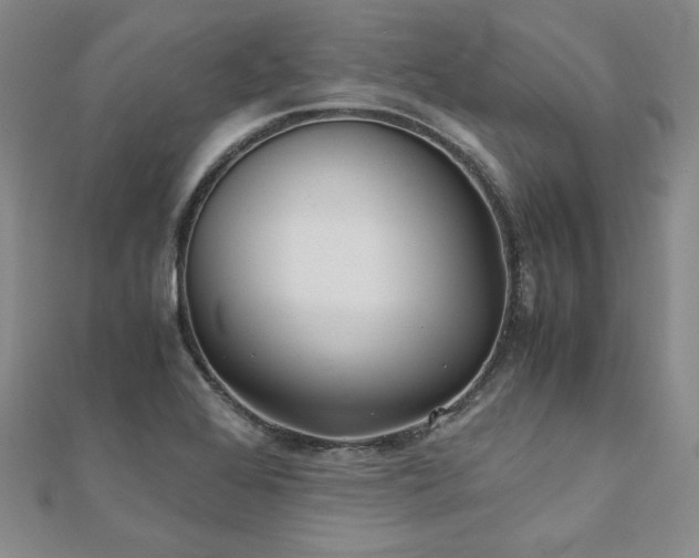 X0000111011368200906191603
