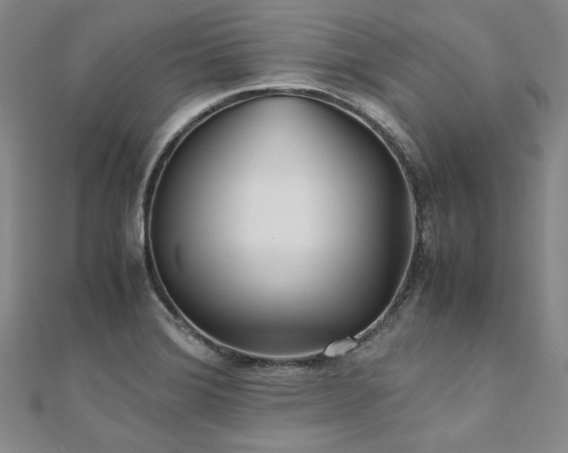 X0000111011372200906191603
