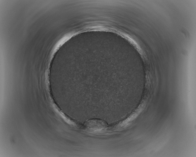 X0000111011373200906191603