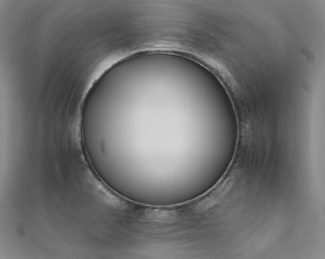 X0000111011374200906191603