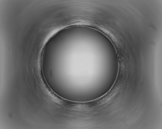 X0000111011375200906191603