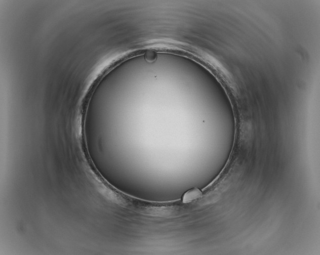 X0000111011376200906191603