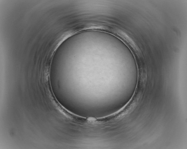 X0000111011377200906191603