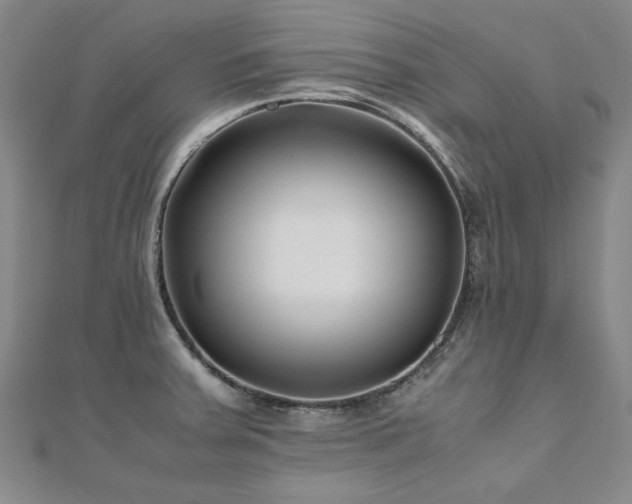 X0000111011379200906191603