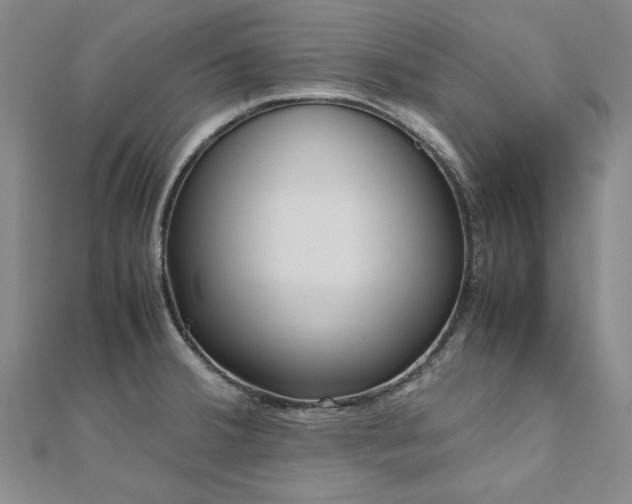 X0000111011380200906191603