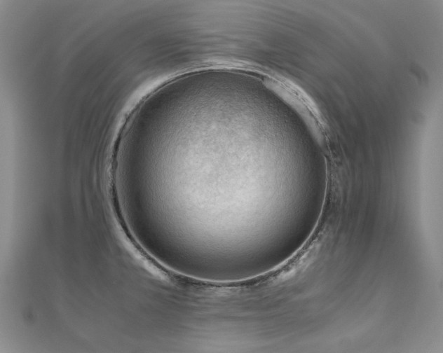X0000111011381200906191603