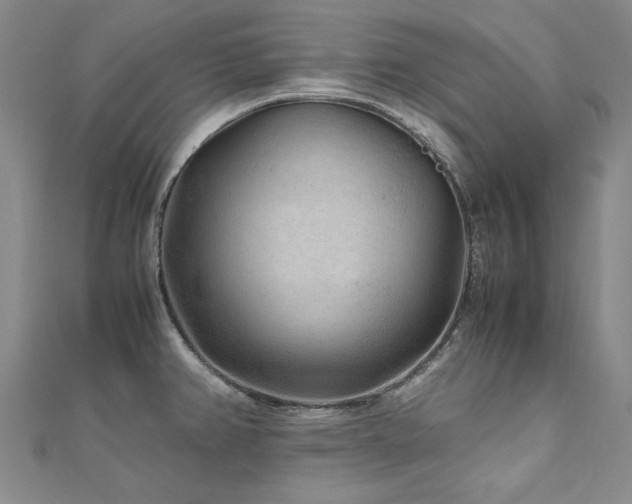 X0000111011382200906191603