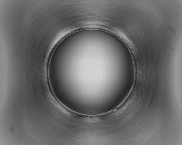 X0000111011384200906191602
