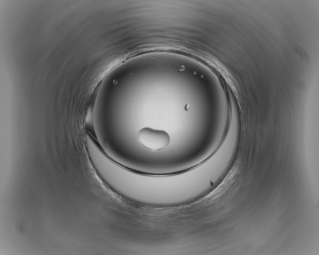 X0000111011385200906191602