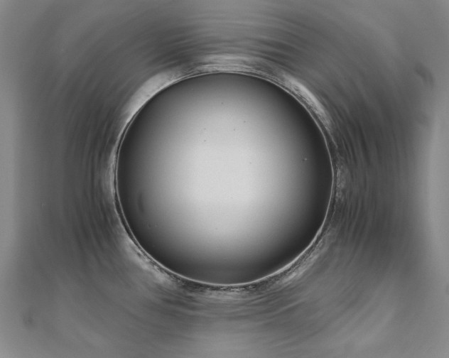 X0000111011386200906191602