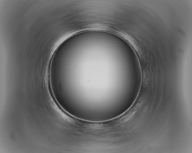 X0000111011387200906191602