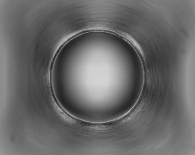 X0000111011388200906191602