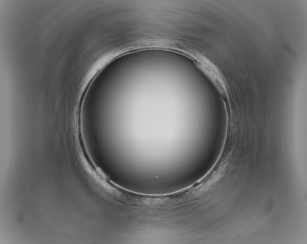 X0000111011389200906191602