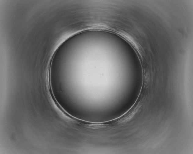 X0000111011391200906191602